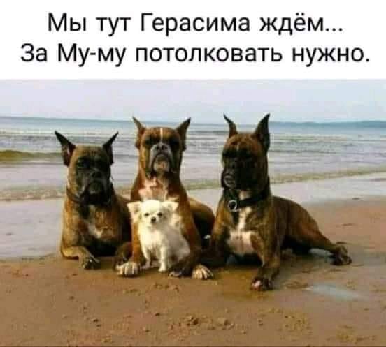 Немного картинок для настроения - 123