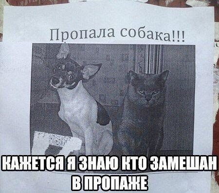 Так себе картинки 18.10.22