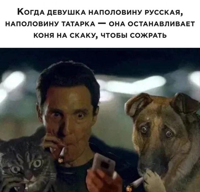 Баянистых и не очень картинок