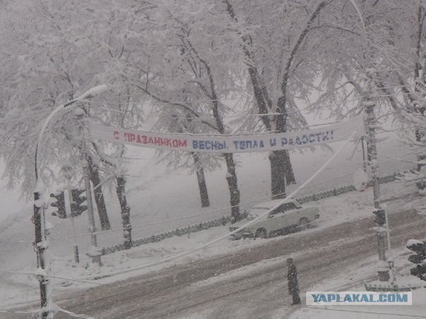 Весна на Камчатке