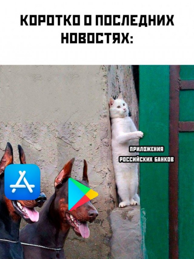 Картинки и мемы. Выходные близко...