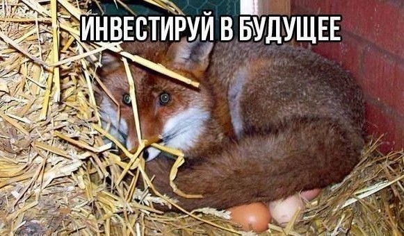 Нуштош 22.04.2023