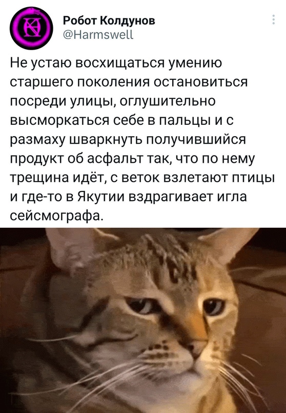 Весёлый полтишок 30.04.23