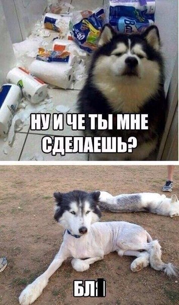 Картинки разные, возможны баяны