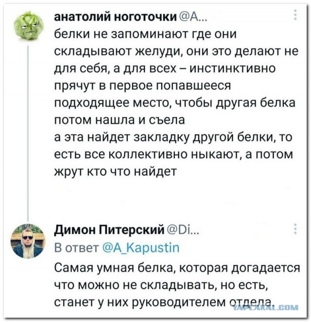 Забавные комментарии из социальных сетей 12.06.23