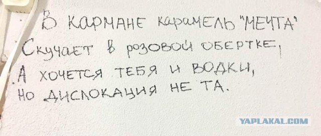 Не много весёлых картинок