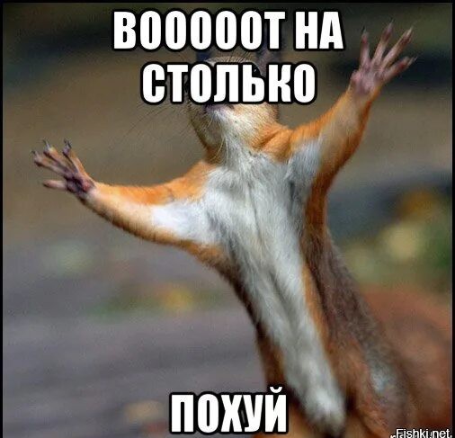 Купили хату в человейнике...