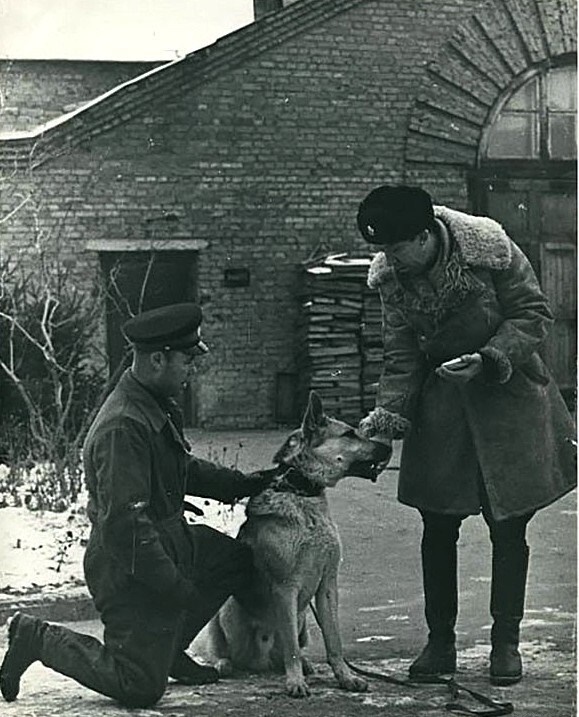 Фотографии из прошлого нашей страны – 65