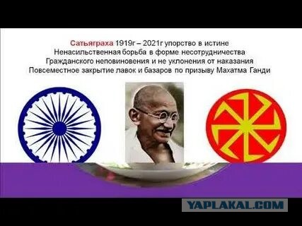 Я не хочу их тут видеть