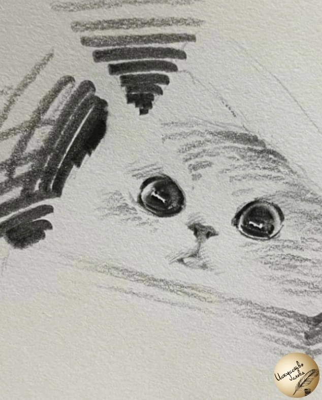 Котоштрих