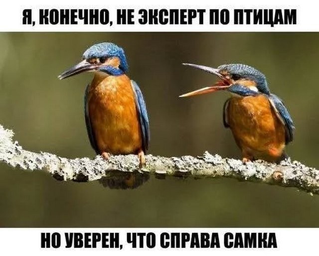 Завалялось тут случайно немного забавных картинок