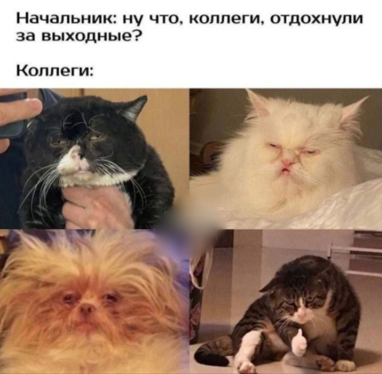 Успехов в работе картинки