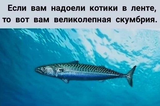 Фундамент интернета