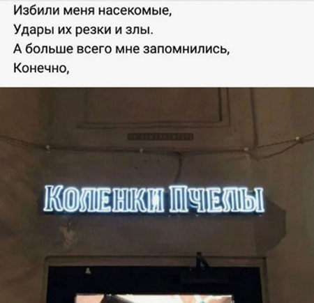 Надписи, объявления и прочая дичь