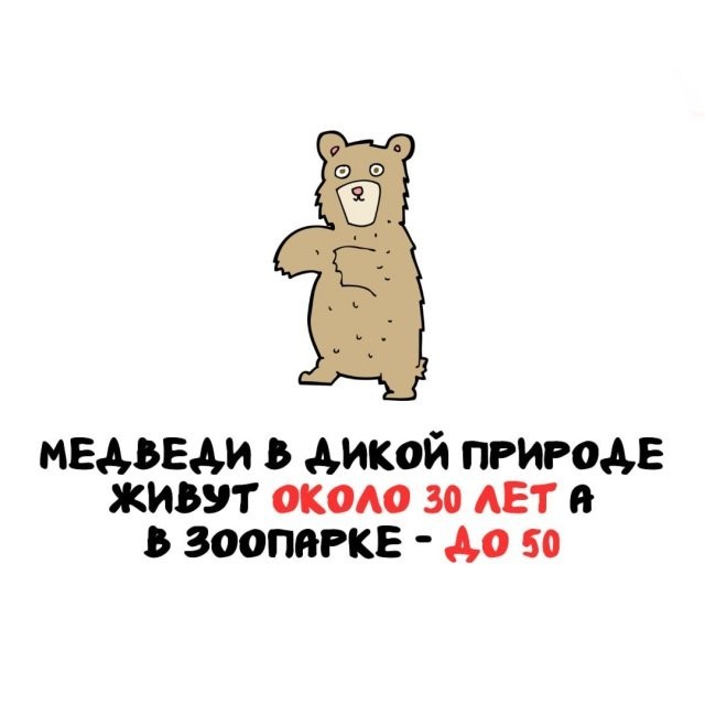 Подборка интересных фактов на все случаи жизни 26.11.25