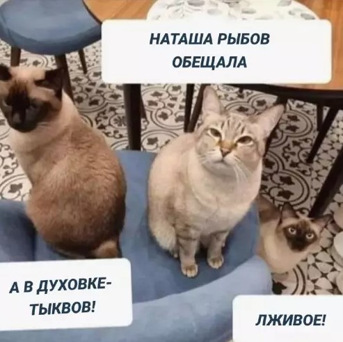 Пакет брать будете?