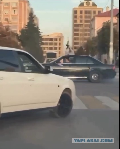 *БАЯН*Причина отказа - шерсть!