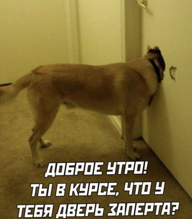 Пятничные бояны