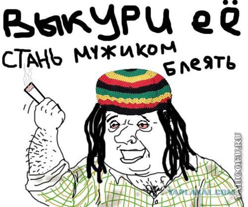 Два мешка наркотиков в машине депутата СР.