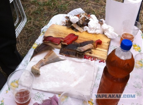 Моя Камчатка