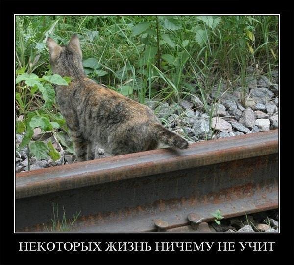 Чемпион мира погиб, отжимаясь на ЖД путях