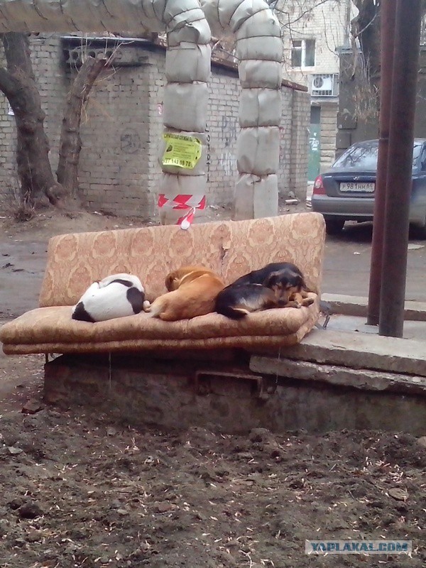 Все в порядке