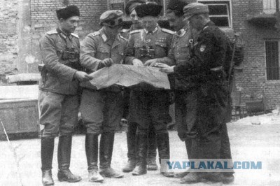 Командиры УПА. Кто как закончил?