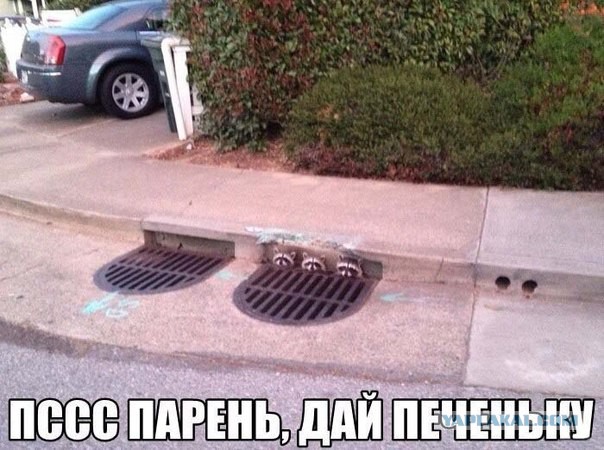 Очередная подборка смешных высказываний