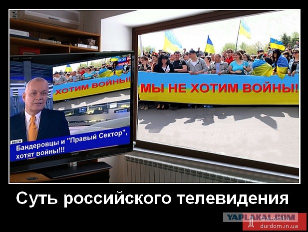Фрагмент дискуссии Старикова и Порошенко