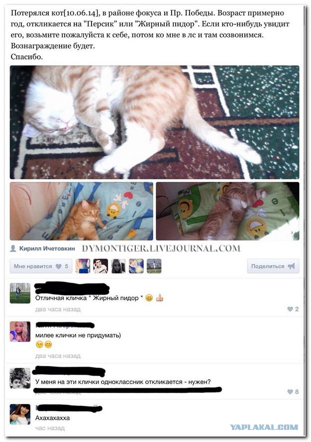 Смешные комментарии из соц.сетей