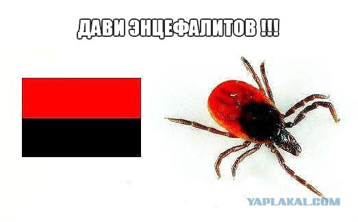Кризис в Украине глазами карикатуристов
