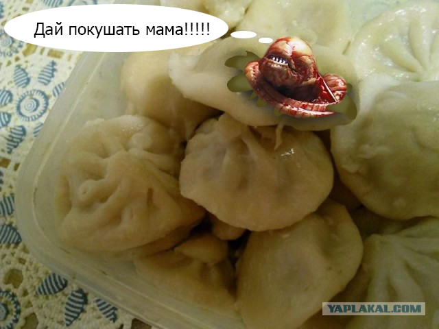 Поела пельмешек