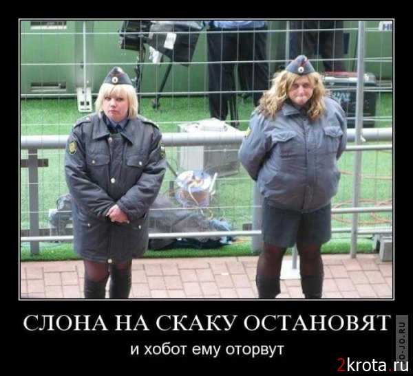 Менты РФ