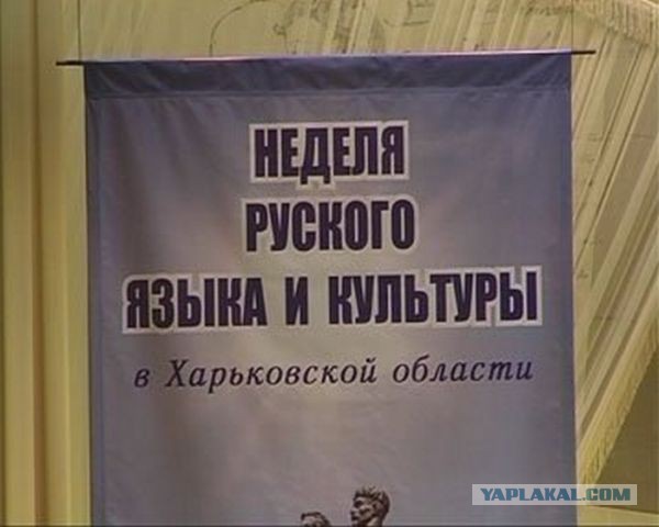 Смешные картинки и комментарии из сети