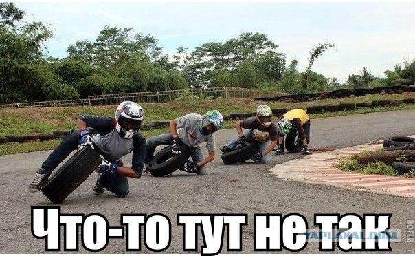 Забавные картинки из Сети
