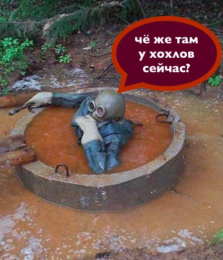 Очередные картинки