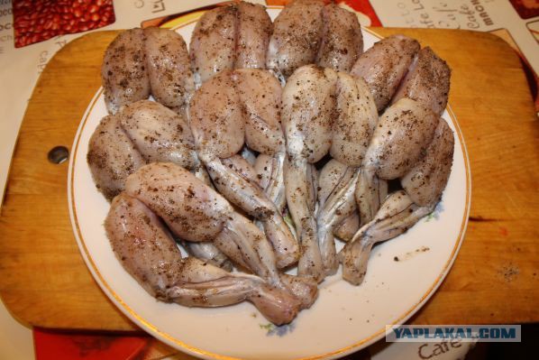 Кухня (кулинарное и околокулинарное общение)