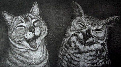 Забавные рисованные кошки