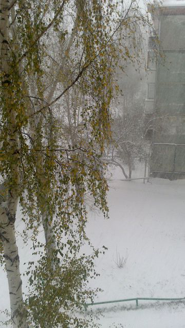 Снег В Перми