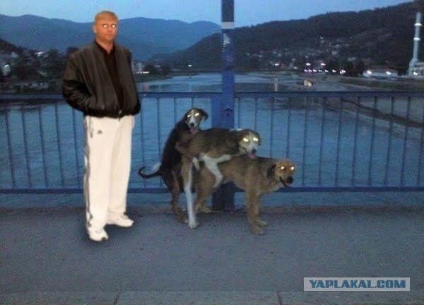 Подборка веселых картинок