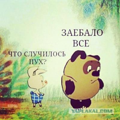 А давайте поговорим о жизни