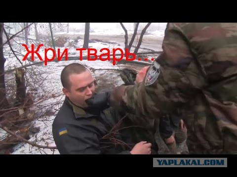 Перемирие кончилось, едва начавшись. Часть 15