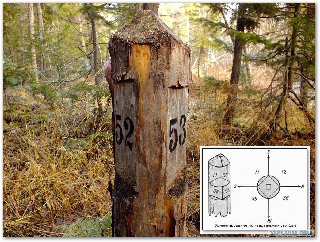 Столб значение. Квартальный столб ориентирование. Ориентирование по квартальным столбам. Квартальный столб в лесу. Ориентирование по квартальным столбам в лесу.