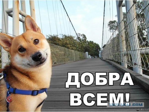 Немного позитива