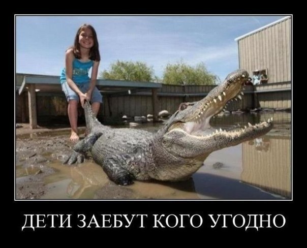 Подборка прикольных фото на пятницу