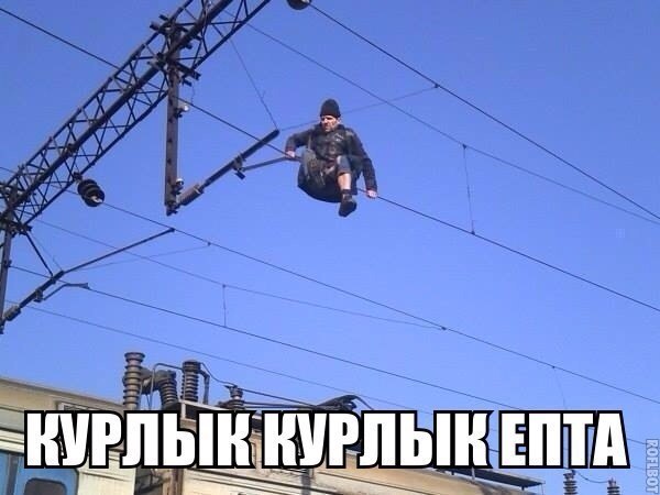Подборка прикольных фото на пятницу
