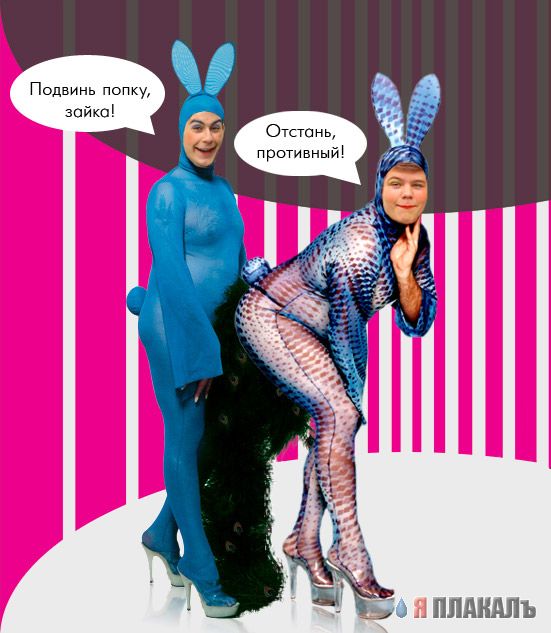 Фотожаба: Два голубка