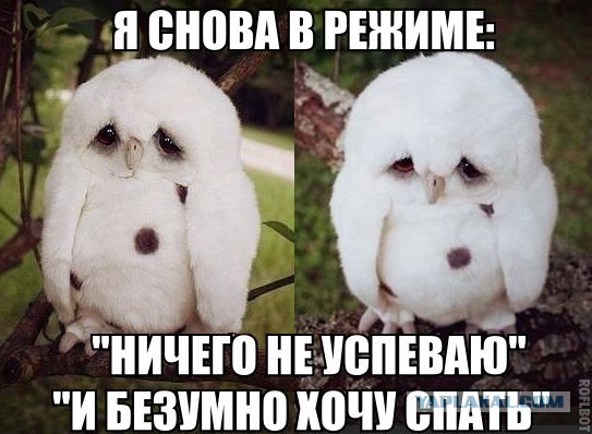 Картинки разные