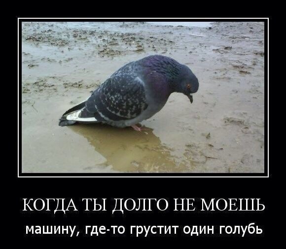 Картинок пост