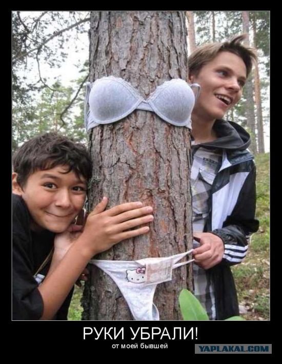 Небольшая подборка демотиваторов